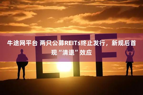 牛途网平台 两只公募REITs终止发行，新规后首现“清退”效应
