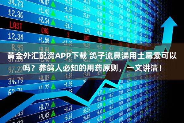 黄金外汇配资APP下载 鸽子流鼻涕用土霉素可以吗？养鸽人必知的用药原则，一文讲清！
