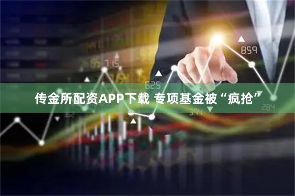 传金所配资APP下载 专项基金被“疯抢”